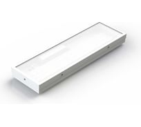 Светодиодный светильник DIORA NPO SE Glass Mini 20/2600 opal 2600лм 20Вт 4000K IP65 0.95PF 80Ra Kп<1 DNPOSEGMini20-O-4K