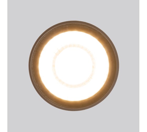 Садово-парковый светильник Elektrostandard 35132 H Light LED 2105 черный a056231