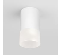 Садово-парковый светильник Elektrostandard 35139 H Light LED 2106 белый a057157