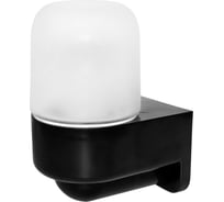 Светильник ОПТИКОМ ЭЛЕКТРИК Лидер-3 влагозащищенный, термостойкий, 60 Вт, IP65, черный 1300-00030.05