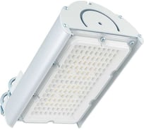 Светодиодный светильник DIORA Angar PRO 25/3600 Г90 3600лм 25Вт 3000K IP67 0,95PF 80Ra Кп<1 DAPRO25G90-3K