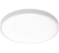 Потолочная лампа YEELIGHT Xiaomi C2001, C450 Ceiling Light 450mm, пульт в комплекте, белая, YLXD036