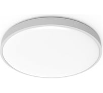 Потолочная лампа YEELIGHT Xiaomi C2001 C550 Ceiling Light 550mm, пульт в комплекте, белая, YLXD037