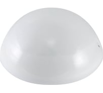Светильник TDM ELECTRIC НПП 03-100-010.12 У3 Сириус (метал.корпус, матовый рассеиватель) SQ0311-0011