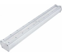 Светодиодный светильник DIORA Piton City 20/2700 сlear 2700лм 20Вт 3000K L600 IP65 0,95PF 80Ra Кп<1 лира DPC20-C-W-L600