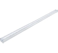 Светодиодный светильник DIORA Piton City 5/550 opal 550лм 5Вт 4000K L300 IP65 0,95PF 80Ra Кп<1 лира DPC5-O-N-L300