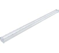 Светодиодный светильник DIORA Piton City 20/2800 сlear 2800лм 20Вт 5000K L1200 IP65 0,95PF 80Ra Кп<1 лира DPC20-C-C-L1200