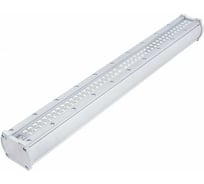 Светодиодный светильник DIORA Piton City 20/2700 K60 2700лм 20Вт 4000K L600 IP65 0,95PF 80Ra Кп<1 лира DPC20-K60-N-L600