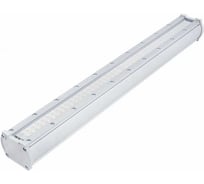 Светодиодный светильник DIORA Piton City 20/2700 Г90 2700лм 20Вт 3000K L600 IP65 0,95PF 80Ra Кп<1 лира DPC20-G90-W-L600