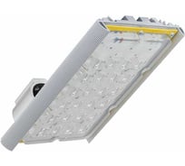 Светодиодный светильник DIORA Unit Ex NB 55/6500 K30 6500лм 55Вт 3000K IP66 0,98PF 70Ra Кп<1 консоль DUExNB60K30-3K-C