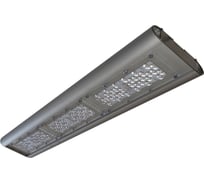 Светодиодный светильник ПРОТОН уличной серии ФЛЕКС SSU-220/100-5K.D-01 Flex