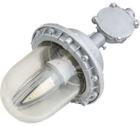 Светодиодный светильник DIORA НСП 02-200-001 (ВЗГ-200) 20/2700 2700лм 20Вт 5000K IP65 0.8PF 80Ra Кп<2 DNSP20-VZG200-5K