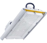 Светодиодный светильник DIORA Unit 2Ex 25/3000 Г90 3000лм 25Вт 3000K IP67 0,98PF 80Ra Кп<1 лира DU2Ex25G90-3K-L