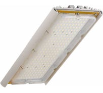 Светодиодный светильник DIORA Unit 2Ex 65/10000 Д 10000лм 65Вт 4000K IP67 0,98PF 80Ra Кп<1 лира DU2Ex65D-4K-L