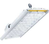 Светодиодный светильник DIORA Unit 2Ex 85/13500 К30 13500лм 85Вт 5000K IP67 0.95PF 70Ra Кп<1 консоль DU2Ex85K30-5K-C