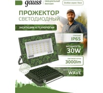 Прожектор светодиодный Elementary Gauss 30W 2700lm IP65 6500К ХАКИ GFD003