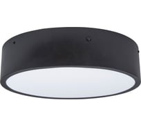 Светильник Uniel ULO-K40A 30W/4000К/R40 IP40 BLACK UL-00012601