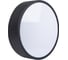 Светильник светодиодный накладной ULO-K40A 30W/4000К/R40 IP40 BLACK Uniel UL-00012601 7