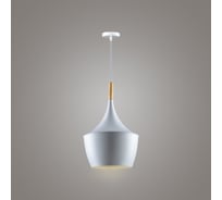 Подвесной светильник RITTER TOQUE 1xE27, белый 52636 0