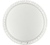 Настенно-потолочный светильник СОНЕКС LED 48W BRISA 2036/DLN