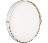 Настенно-потолочный светильник СОНЕКС LED 48W OLIDI WHITE 7646/DLN