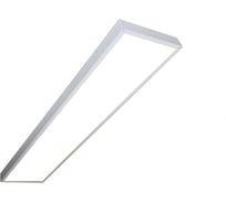 Светодиодный светильник ПРОТОН промышленной серии PRO-1200 SSO-220/64-06.2(WDO-P5K)