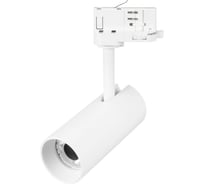 Светильник Arlight LGD-SILMA-4TR-R55-4W Warm3000 1шт 060462