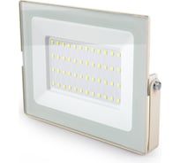 Прожектор VKL electric LED 50W VLF7-50-6500-mini-W 6500К 6000Лм 220V IP65 белый 1191950