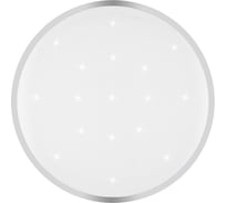 Настенно-потолочный светильник TANGO 60Вт с ДУ LED "ВИСКИ" 1196404