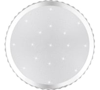 Настенно-потолочный светильник TANGO 80Вт с ДУ LED "ТРИУМФ" 1196407