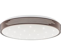 Настенно-потолочный светильник TANGO 80Вт с ДУ LED "ЛАЙН КОФЕ" 1195519