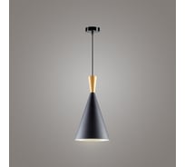 Подвесной светильник Ritter TOQUE 1xE27 черный 52634 6