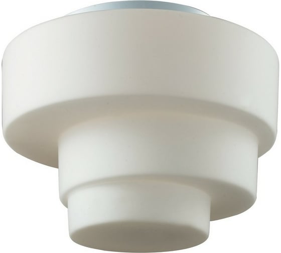Настенно-потолочный светильник ST LUCE BAGNO SL499.502.01 1