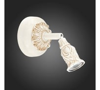 Настенно-потолочный светильник ST LUCE STUCCHI SL575.501.01