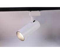 Трековый однофазный светильник ЭРА TR530 COB WH 30 ватт 4000К 2100Лм белый Б0049054