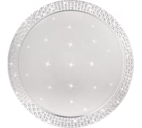 Настенно-потолочный светильник TANGO 60Вт с ДУ LED "ПРОВАНС" 1197178