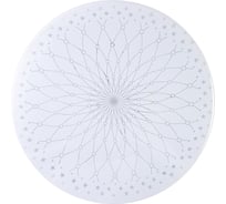 Настенно-потолочный светильник TANGO 28Вт LED "ШАРМ" 1199450