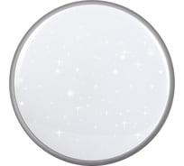 Настенно-потолочный светильник TANGO 60Вт с ДУ LED "ФАВОРИТ ДУЭТ" 1199017