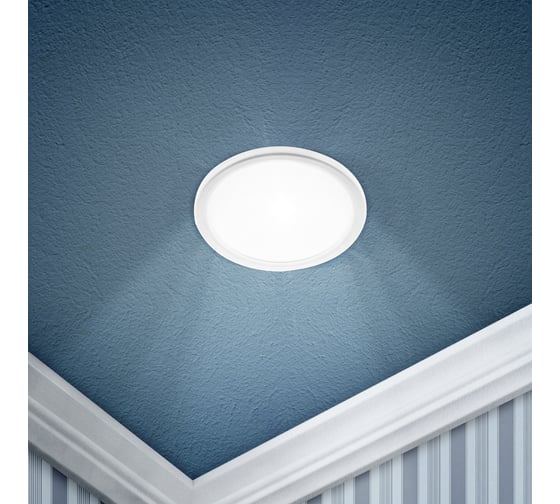 Встраиваемый светодиодный светильник ЭРА LED 7-9-4K/1 круглый регулируемый, LED 9W 220V 4000K Б0046917