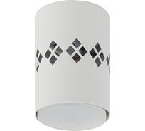 Настенно-потолочный светильник ЭРА спот OL10 LD GX53 WH белый, подсветка 1 W Б0050269