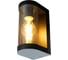 Светильник садово-парковый FERON 40W 230V E27, DH1901, черный/янтарный 52188 3