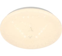 Светильник потолочный светодиодный ЭРА Классик без ДУ SPB-6 Slim Lily 24W-4K 4000K Б0071157