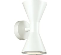 Уличный настенный светильник ODEON LIGHT IP65 металл, стекло GU10 2х5W AXEN 4611/10WL