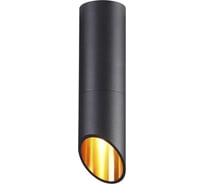 Потолочный светильник ODEON LIGHT GU10 50W PRODY 4209/1C