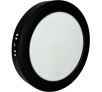 Светильник светодиодный накладной круг 20W 4000K 1600Lm D230мм черный пластик truEnergy 10117