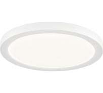 Светильник потолочный СОНЕКС LED 24W NEBULA WHITE 7790/24L