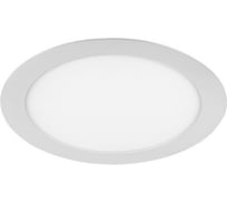 Светодиодная круглая панель с выносным драйвером в комплекте, Wolta PRO диметр встройки 200мм, светит дневным белым светом 4000К, Мощность 30Вт, IP54, артикул ДВО06-30-001-4К