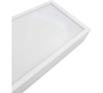 Светильник светодиодный накладной truEnergy 50W 6500K 3200Lm 1180x100x35 мм белый металл 11431