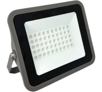 Прожектор светодиодный truEnergy 50W 6500K 4000Lm IP66 234x184x35 серый металл 13115