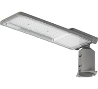 Светильник уличный светодиодный ЭРА, 100 Вт, 5000 К, IP65, кривая сила света широкая, регулируемый угол наклона, SPP-507-0-50K-100 Б0068904